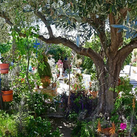 Daire Kalokenti Aegina