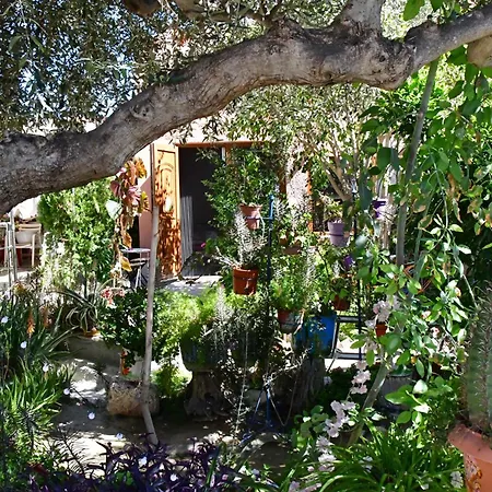 Kalokenti Aegina